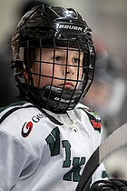 Klik for at se eller bestil foto