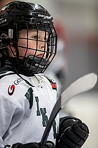 Klik for at se eller bestil foto