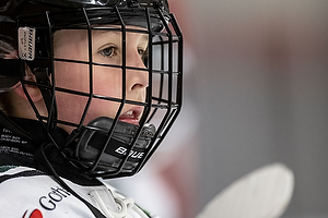 Klik for at se eller bestil foto