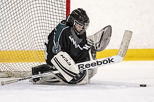 Klik for at se eller bestil foto