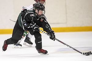 Klik for at se eller bestil foto