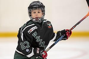 Klik for at se eller bestil foto