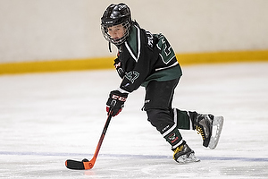 Klik for at se eller bestil foto