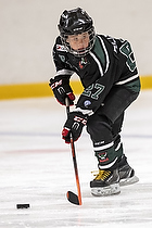 Klik for at se eller bestil foto