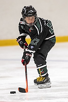 Klik for at se eller bestil foto