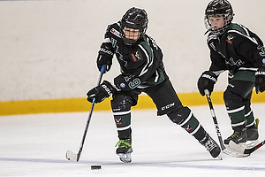 Klik for at se eller bestil foto