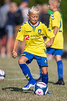 Klik for at se eller bestil foto