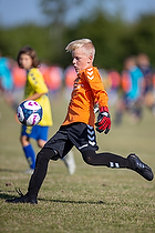 Klik for at se eller bestil foto