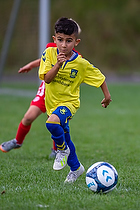 Klik for at se eller bestil foto