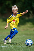 Klik for at se eller bestil foto