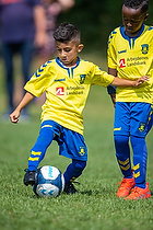 Klik for at se eller bestil foto