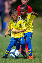 Klik for at se eller bestil foto