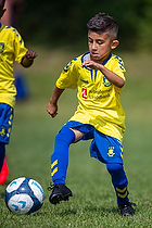 Klik for at se eller bestil foto