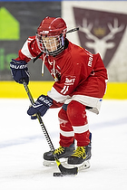 Klik for at se eller bestil foto