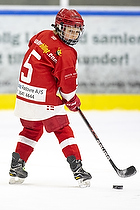 Klik for at se eller bestil foto