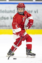 Klik for at se eller bestil foto