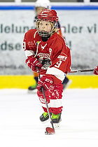 Klik for at se eller bestil foto