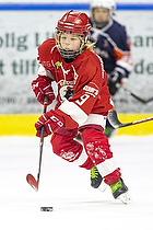 Klik for at se eller bestil foto