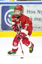 Klik for at se eller bestil foto