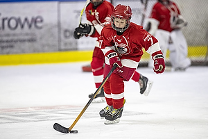 Klik for at se eller bestil foto