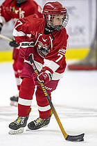 Klik for at se eller bestil foto