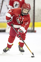 Klik for at se eller bestil foto