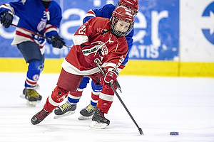 Klik for at se eller bestil foto