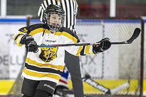 Klik for at se eller bestil foto