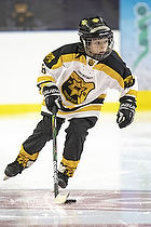 Klik for at se eller bestil foto