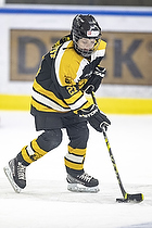 Klik for at se eller bestil foto