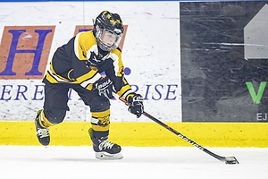 Klik for at se eller bestil foto