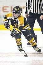 Klik for at se eller bestil foto