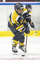 Klik for at se eller bestil foto