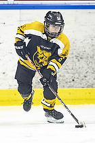 Klik for at se eller bestil foto