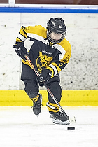 Klik for at se eller bestil foto