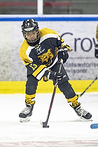 Klik for at se eller bestil foto