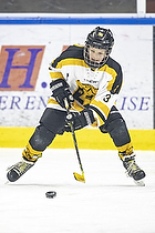 Klik for at se eller bestil foto