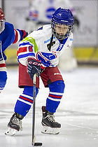 Klik for at se eller bestil foto