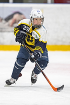 Klik for at se eller bestil foto