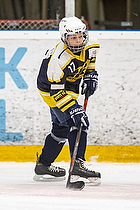 Klik for at se eller bestil foto