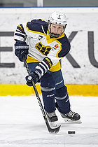 Klik for at se eller bestil foto