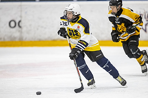 Klik for at se eller bestil foto