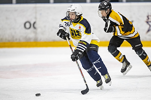 Klik for at se eller bestil foto