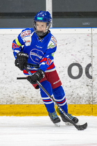 Klik for at se eller bestil foto