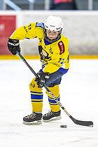 Klik for at se eller bestil foto