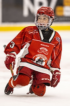 Klik for at se eller bestil foto