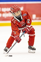 Klik for at se eller bestil foto