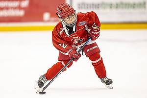 Klik for at se eller bestil foto