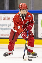 Klik for at se eller bestil foto