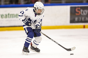 Klik for at se eller bestil foto